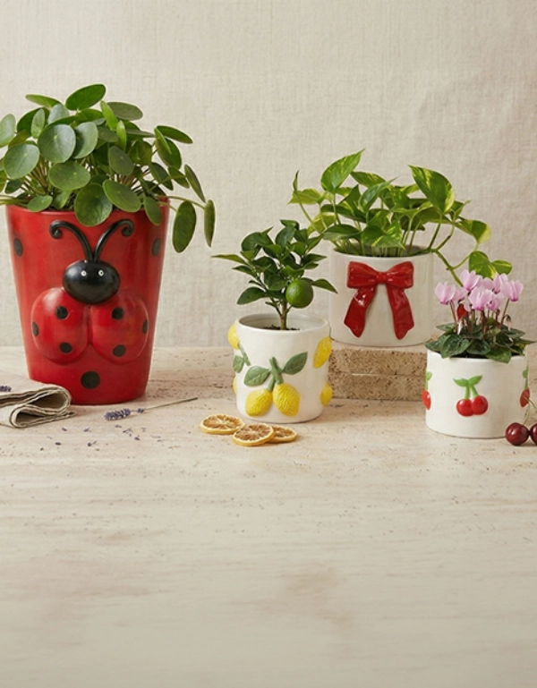 Verschillende decoratieve plantenpotten en tuinaccessoires op een lichte ondergrond. Kleurrijke potten en sfeervolle details voor huis en tuin