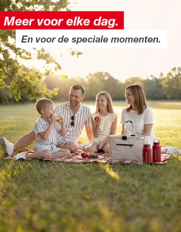 Een gezin van vier geniet van een picknick op een deken in een zonnig park met bomen en een open grasveld.