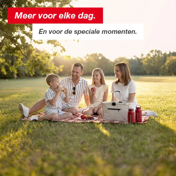 Een gezin van vier geniet van een picknick op een deken in een zonnig park met bomen en een open grasveld.
