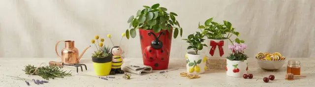 Decoratieve bloempotten en plantenbakken met kamerplanten en tuinaccessoires op tafel – zorgen voor frisse, kleurrijke accenten en een natuurlijke sfeer in huis